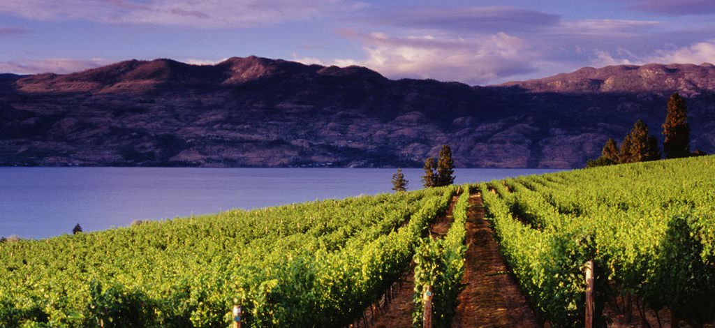 Hotels in Kelowna